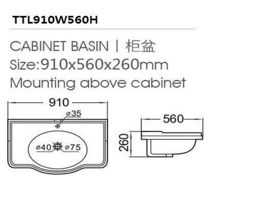 bathroom cabinet sinks drawingTTL910W560H-2