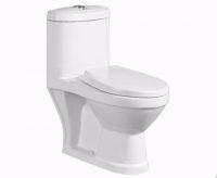 HB9873-S-trap-one-piece-toilet