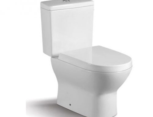 Two piece  toilet idea