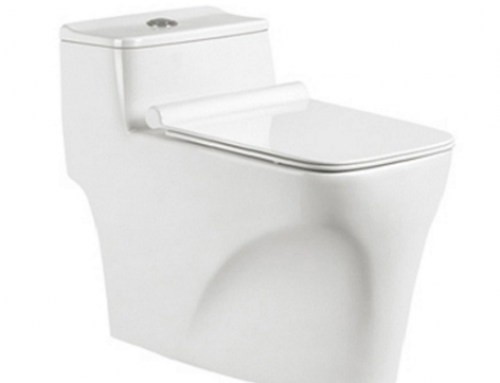 One piece toilet  S trap 300mm HB98187