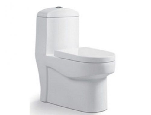 P/S-Trap flushing system toilet bowl  HB98201