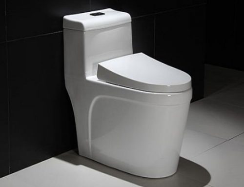 One piece toilet HB98175