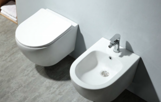 wall hung toilet