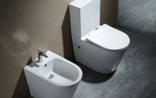 toilet and wall back toilet
