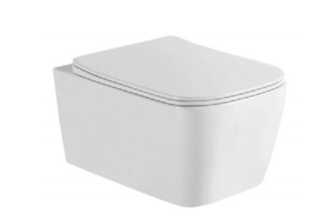 wall mounted toilet