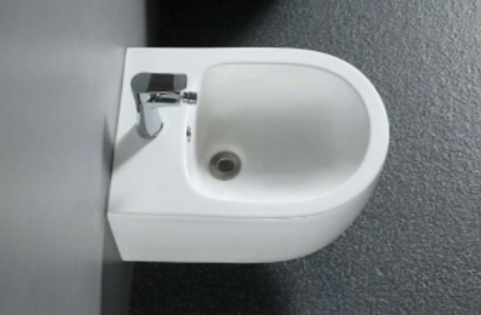 bidet wall hung
